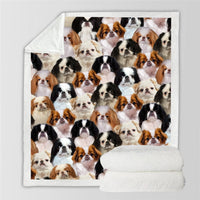 HKM-728595 Modern Printed Flannel Blanket for Pets - Available in Two Sizes