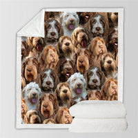 HKM-728595 Modern Printed Flannel Blanket for Pets - Available in Two Sizes
