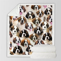 HKM-728595 Modern Printed Flannel Blanket for Pets - Available in Two Sizes