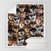 HKM-728595 Modern Printed Flannel Blanket for Pets - Available in Two Sizes