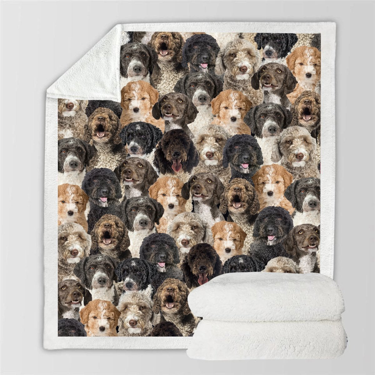HKM-728595 Modern Printed Flannel Blanket for Pets - Available in Two Sizes
