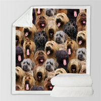 HKM-728595 Modern Printed Flannel Blanket for Pets - Available in Two Sizes