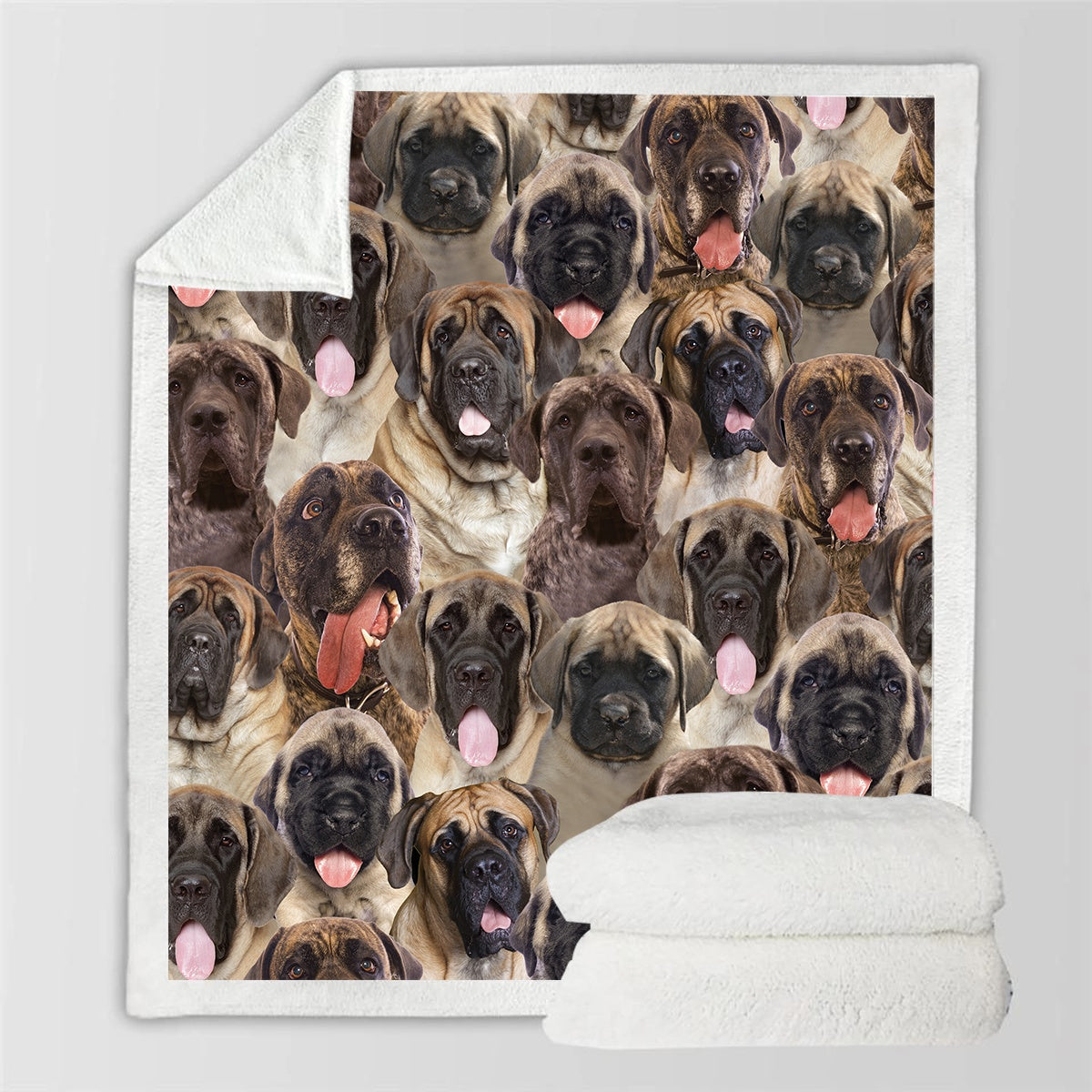 HKM-728595 Modern Printed Flannel Blanket for Pets - Available in Two Sizes