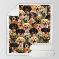 HKM-728595 Modern Printed Flannel Blanket for Pets - Available in Two Sizes