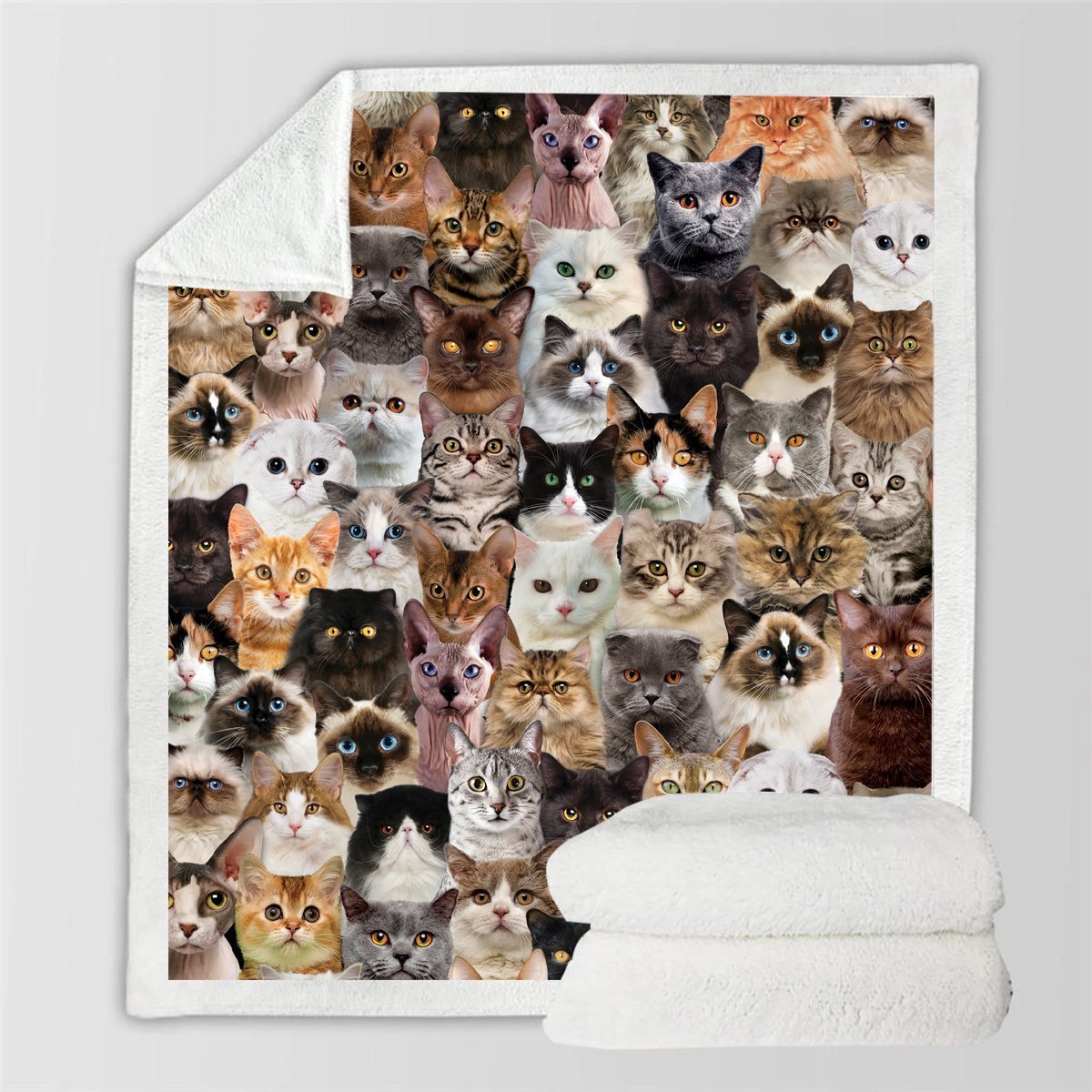 HKM-728595 Modern Printed Flannel Blanket for Pets - Available in Two Sizes