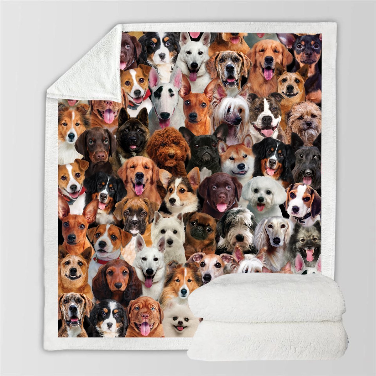 HKM-728595 Modern Printed Flannel Blanket for Pets - Available in Two Sizes