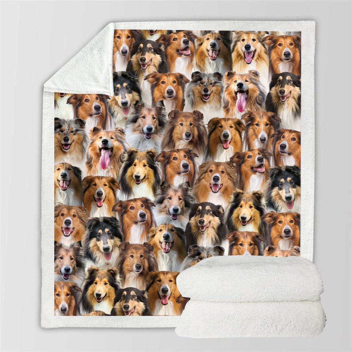 HKM-728595 Modern Printed Flannel Blanket for Pets - Available in Two Sizes