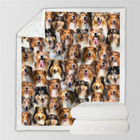 HKM-728595 Modern Printed Flannel Blanket for Pets - Available in Two Sizes