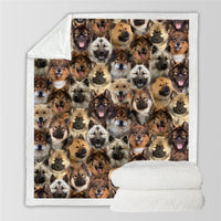 HKM-728595 Modern Printed Flannel Blanket for Pets - Available in Two Sizes