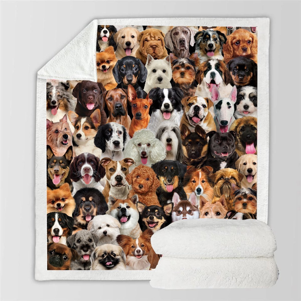HKM-728595 Modern Printed Flannel Blanket for Pets - Available in Two Sizes
