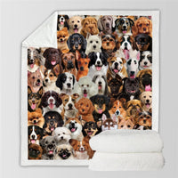 HKM-728595 Modern Printed Flannel Blanket for Pets - Available in Two Sizes