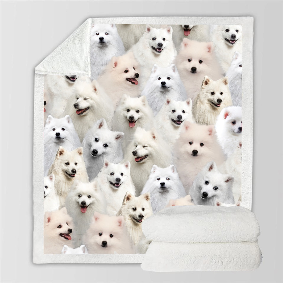 HKM-728595 Modern Printed Flannel Blanket for Pets - Available in Two Sizes