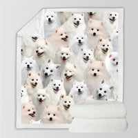 HKM-728595 Modern Printed Flannel Blanket for Pets - Available in Two Sizes