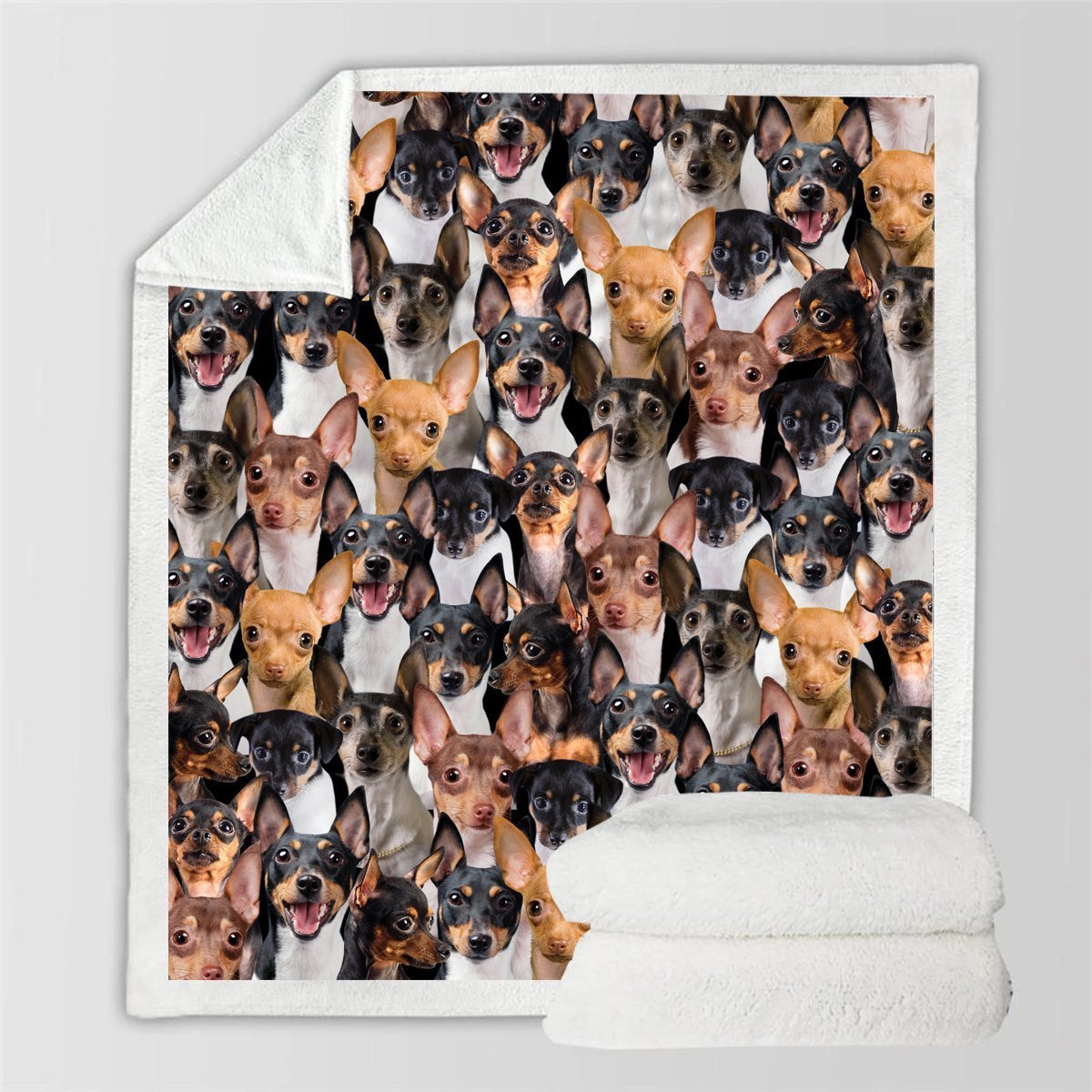 HKM-728595 Modern Printed Flannel Blanket for Pets - Available in Two Sizes