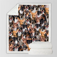 HKM-728595 Modern Printed Flannel Blanket for Pets - Available in Two Sizes