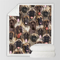HKM-728595 Modern Printed Flannel Blanket for Pets - Available in Two Sizes
