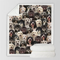 HKM-728595 Modern Printed Flannel Blanket for Pets - Available in Two Sizes