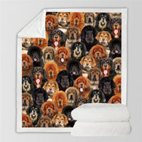 HKM-728595 Modern Printed Flannel Blanket for Pets - Available in Two Sizes