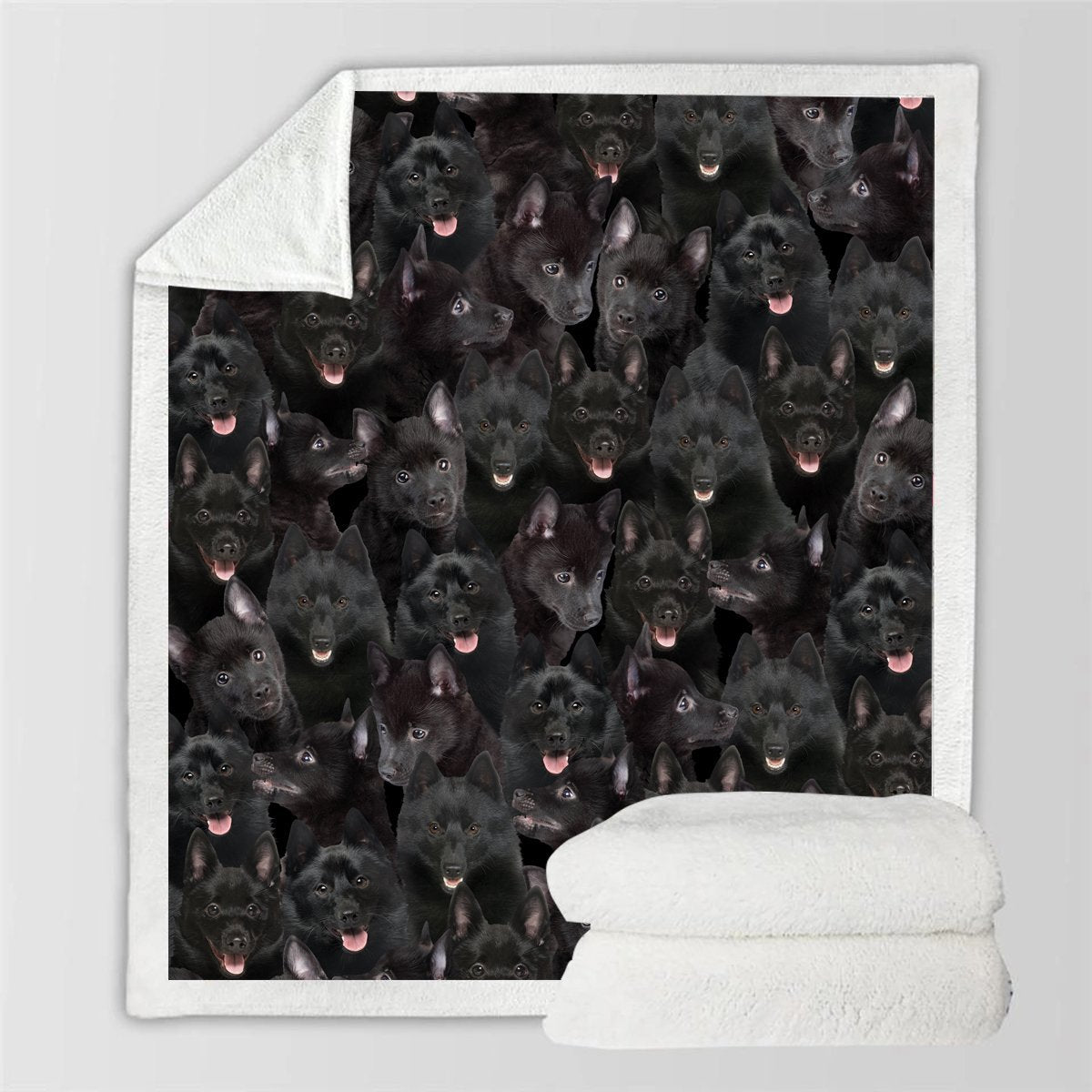 HKM-728595 Modern Printed Flannel Blanket for Pets - Available in Two Sizes