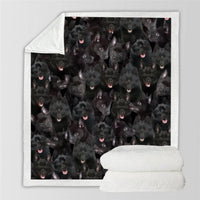 HKM-728595 Modern Printed Flannel Blanket for Pets - Available in Two Sizes