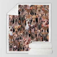 HKM-728595 Modern Printed Flannel Blanket for Pets - Available in Two Sizes