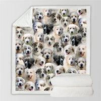 HKM-728595 Modern Printed Flannel Blanket for Pets - Available in Two Sizes