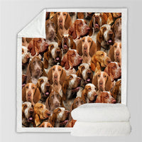 HKM-728595 Modern Printed Flannel Blanket for Pets - Available in Two Sizes