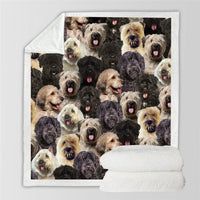 HKM-728595 Modern Printed Flannel Blanket for Pets - Available in Two Sizes