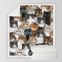 HKM-728595 Modern Printed Flannel Blanket for Pets - Available in Two Sizes