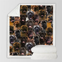 HKM-728595 Modern Printed Flannel Blanket for Pets - Available in Two Sizes