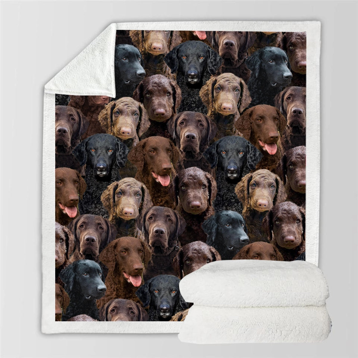 HKM-728595 Modern Printed Flannel Blanket for Pets - Available in Two Sizes