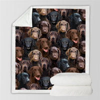 HKM-728595 Modern Printed Flannel Blanket for Pets - Available in Two Sizes