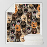 HKM-728595 Modern Printed Flannel Blanket for Pets - Available in Two Sizes