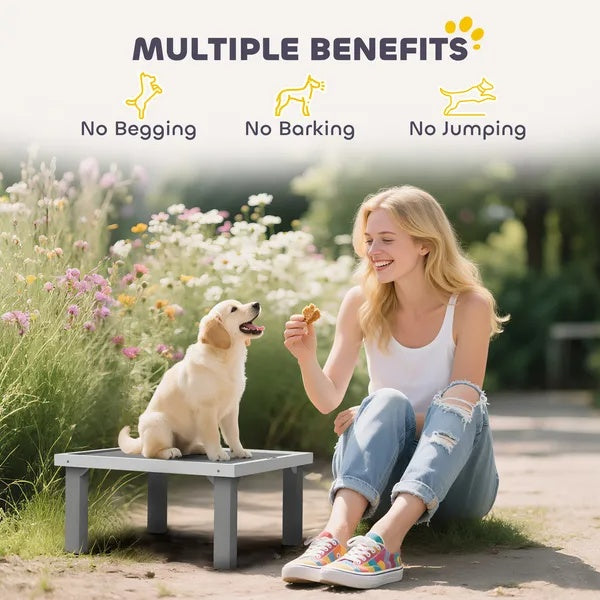 HKM-730259 Wooden Dog Training Place Board with Ladder for Indoor and Outdoor Agility Training