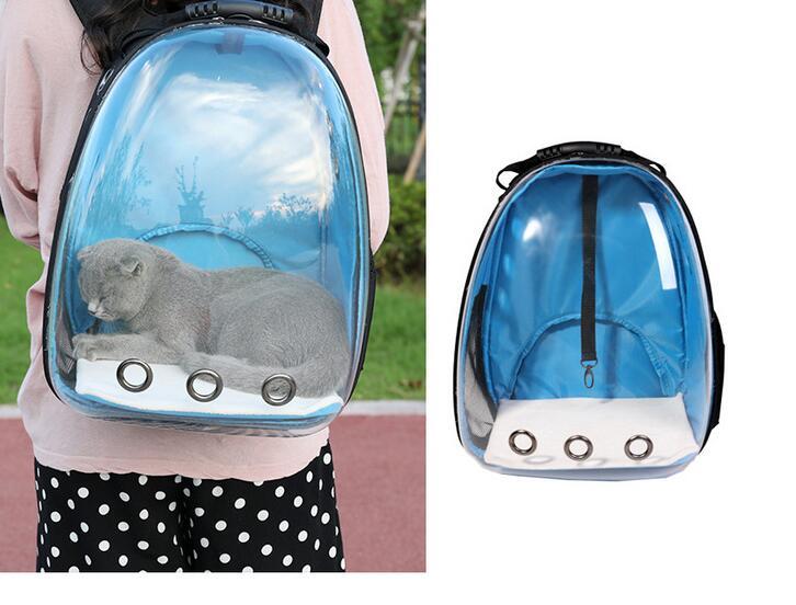 HKM-731091 Transparent Pet Backpack in Solid Colors - Medium Hardness, Plastic Material