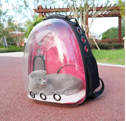 HKM-731091 Transparent Pet Backpack in Solid Colors - Medium Hardness, Plastic Material
