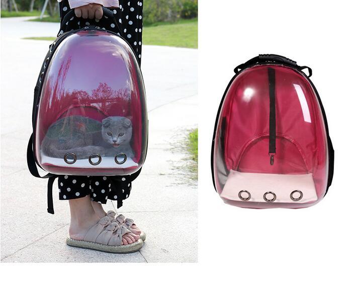 HKM-731091 Transparent Pet Backpack in Solid Colors - Medium Hardness, Plastic Material