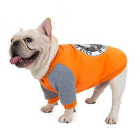 HKM-731475 Cozy Cotton Velvet Sweater for Small to Medium Dogs