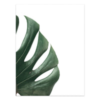 HKM-733203 Tropical Green Leaves Canvas Print - Modern Nordic Style Decorative Artwork