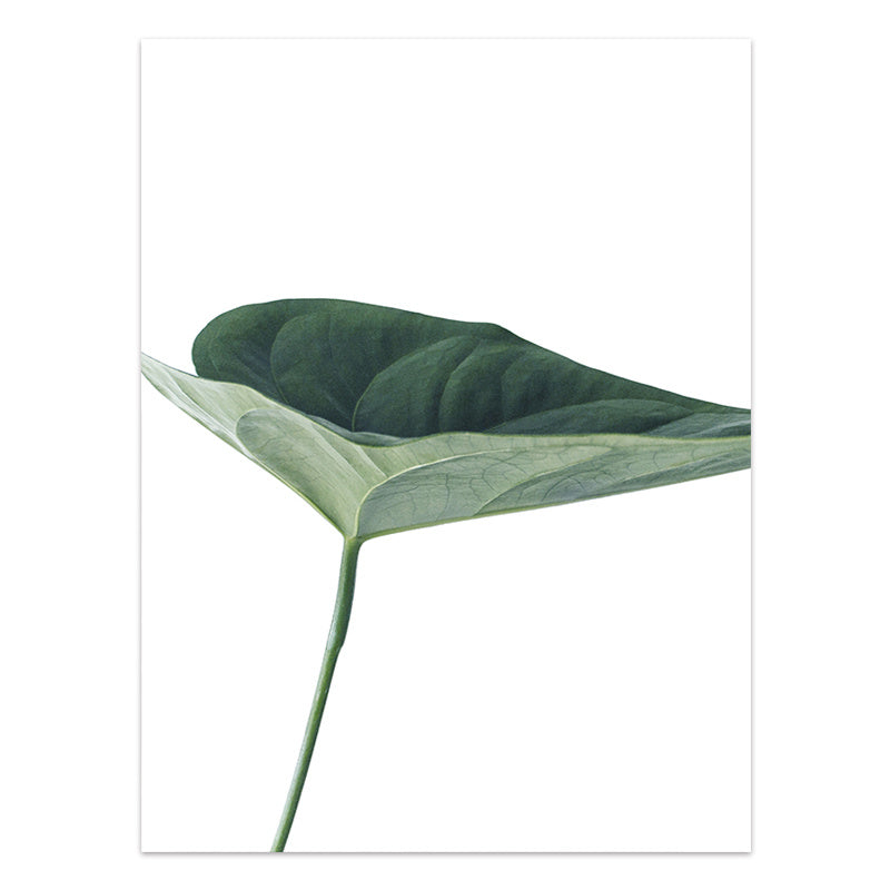 HKM-733203 Tropical Green Leaves Canvas Print - Modern Nordic Style Decorative Artwork