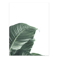 HKM-733203 Tropical Green Leaves Canvas Print - Modern Nordic Style Decorative Artwork