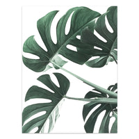 HKM-733203 Tropical Green Leaves Canvas Print - Modern Nordic Style Decorative Artwork