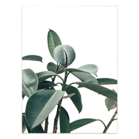 HKM-733203 Tropical Green Leaves Canvas Print - Modern Nordic Style Decorative Artwork