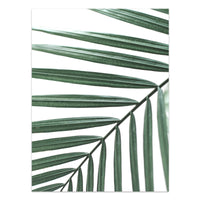 HKM-733203 Tropical Green Leaves Canvas Print - Modern Nordic Style Decorative Artwork