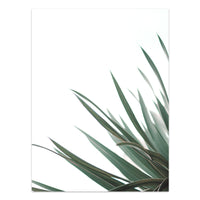 HKM-733203 Tropical Green Leaves Canvas Print - Modern Nordic Style Decorative Artwork