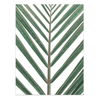 HKM-733203 Tropical Green Leaves Canvas Print - Modern Nordic Style Decorative Artwork