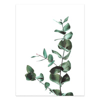 HKM-733203 Tropical Green Leaves Canvas Print - Modern Nordic Style Decorative Artwork