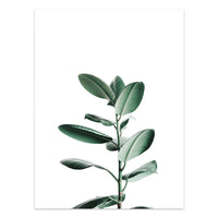 HKM-733203 Tropical Green Leaves Canvas Print - Modern Nordic Style Decorative Artwork
