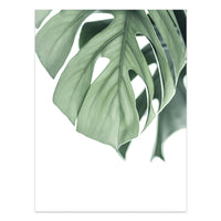 HKM-733203 Tropical Green Leaves Canvas Print - Modern Nordic Style Decorative Artwork