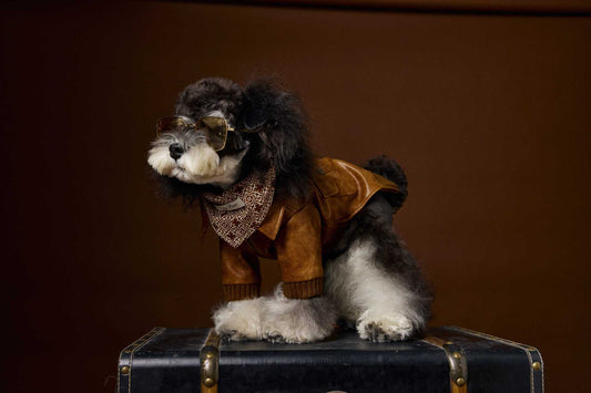 HKM-733843 Retro Style Long Sleeve Leather Coat for Schnauzer and Bichon - Brown, Multiple Sizes Available